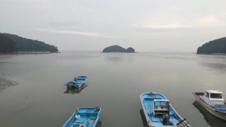 (test) 갈매기와 섬마을